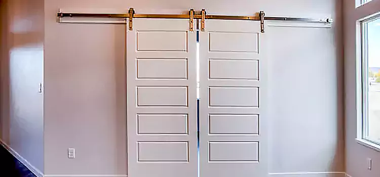 Glass Barn Door with Installation Hardware Kit Lake Stevens