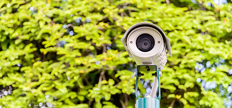 Advanced Surveillance Solutions for Every Need in Lake Stevens