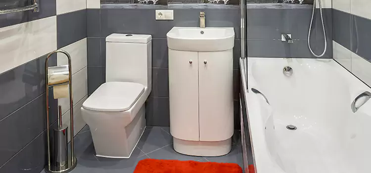 Hansgrohe Shaving Mirror Lake Stevens